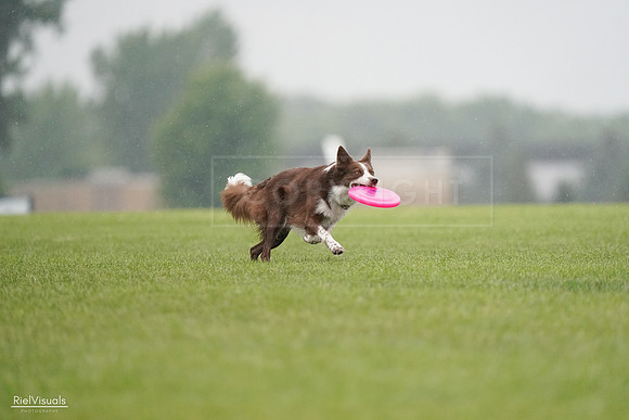 RielVisuals_20240527_104313_SJR01285