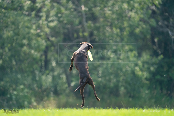 RielVisuals_20240727_123426_SJR05943
