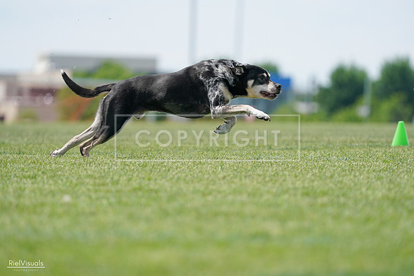 RielVisuals_20240525_123142_SJR00191