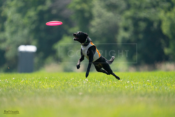 RielVisuals_20240727_130541_SJR06836