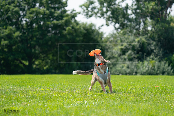 RielVisuals_20240728_124920_SJR04746