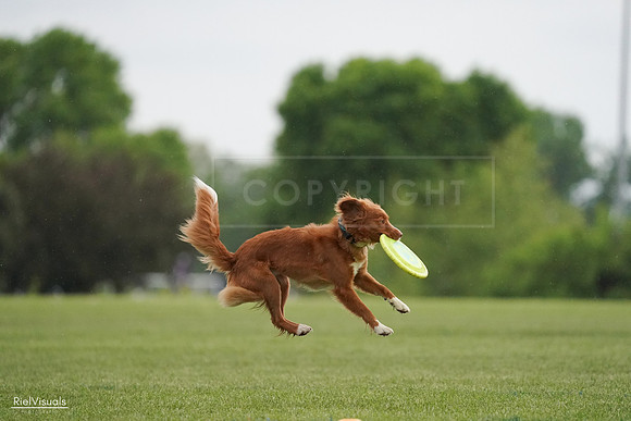 RielVisuals_20240526_093152_SJR00315