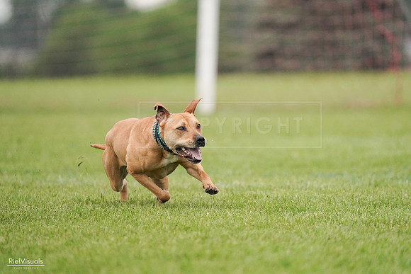 RielVisuals_20240527_111156_SJR03383