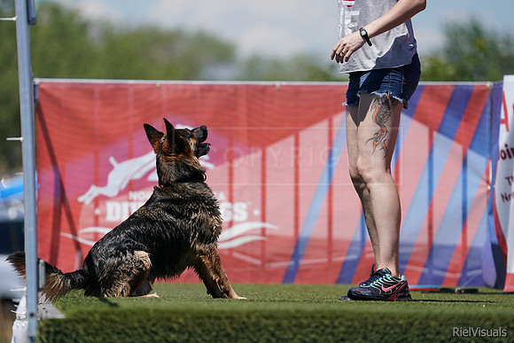 SJR06564