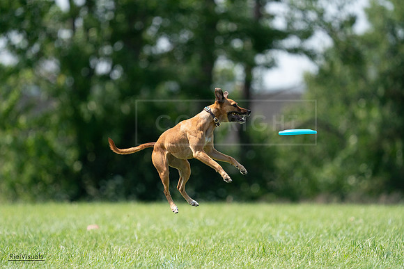 RielVisuals_20240728_150226_SJR09929