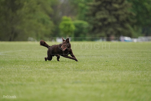 RielVisuals_20240526_091032_SJR09331