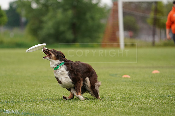 RielVisuals_20240527_132345_SJR09583