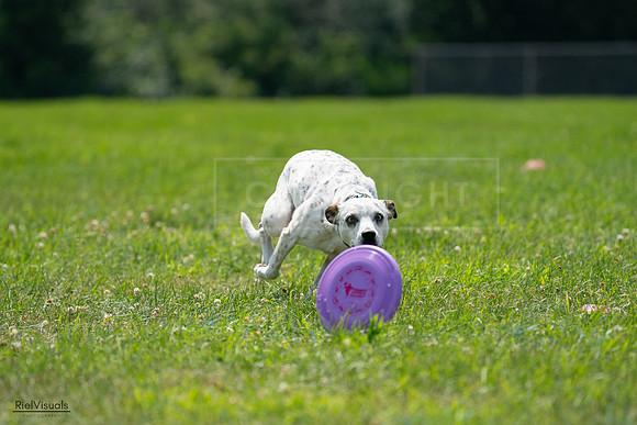RielVisuals_20240728_140022_SJR07764