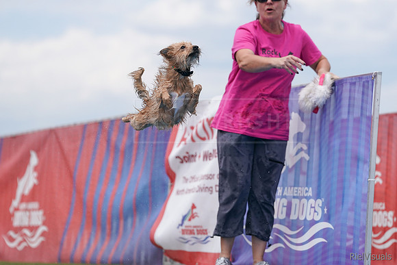 SJR09447