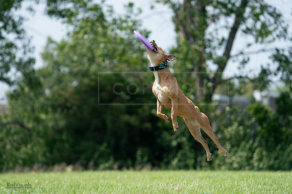 RielVisuals_20240728_142717_SJR08303