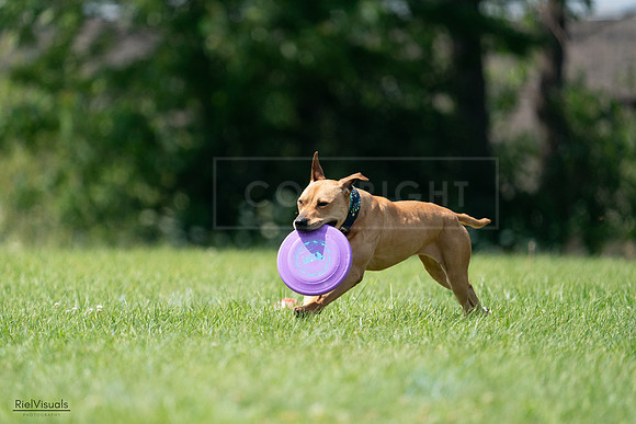 RielVisuals_20240728_142632_SJR08240