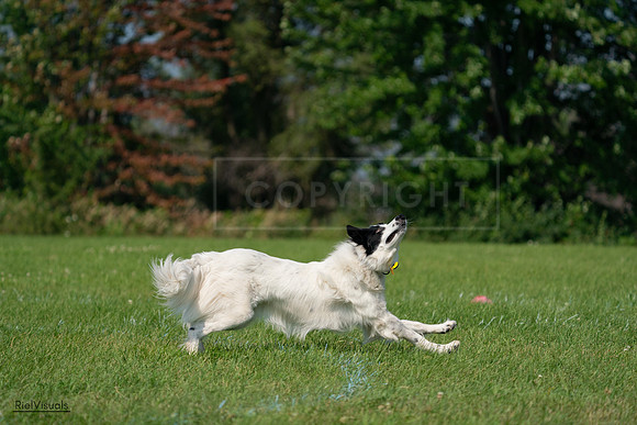 RielVisuals_20240728_102848_SJR08202