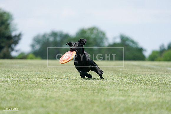 RielVisuals_20240525_121046_SJR08990