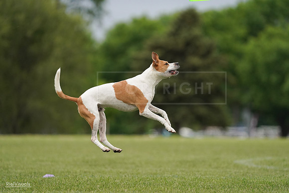 RielVisuals_20240526_134007_SJR08528