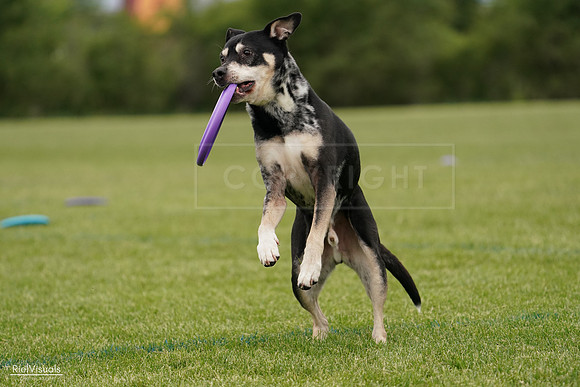 RielVisuals_20240526_134450_SJR08973