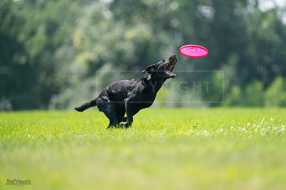 RielVisuals_20240727_125411_SJR06330