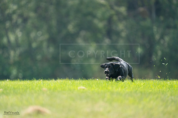 RielVisuals_20240727_121726_SJR05172
