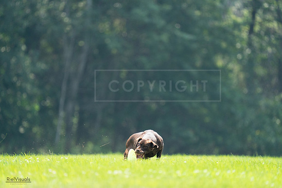 RielVisuals_20240727_123405_SJR05898