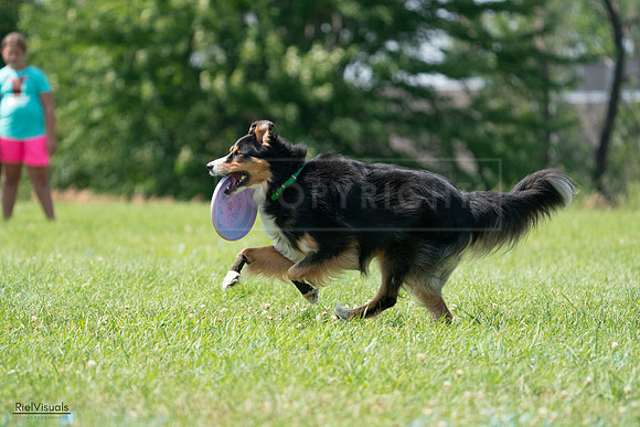 RielVisuals_20240728_142927_SJR08360