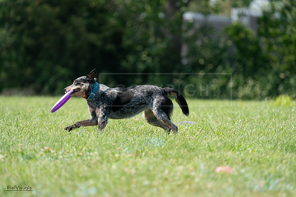 RielVisuals_20240728_145228_SJR09462