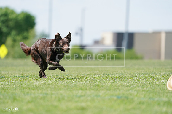 RielVisuals_20240525_120830_SJR08840