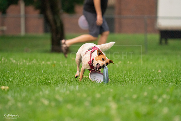 RielVisuals_20240722_201418_SJR03277