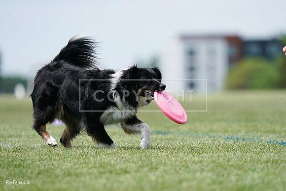 RielVisuals_20240525_123917_SJR00744