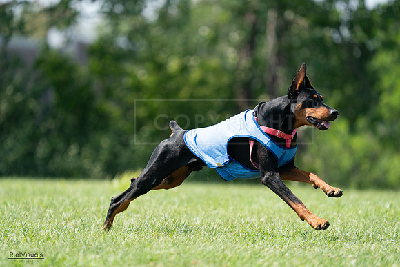 RielVisuals_20240728_151244_SJR00297
