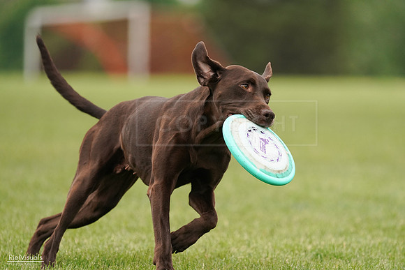 RielVisuals_20240527_132522_SJR09715