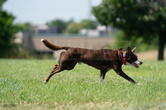 RielVisuals_20240728_151009_SJR00200
