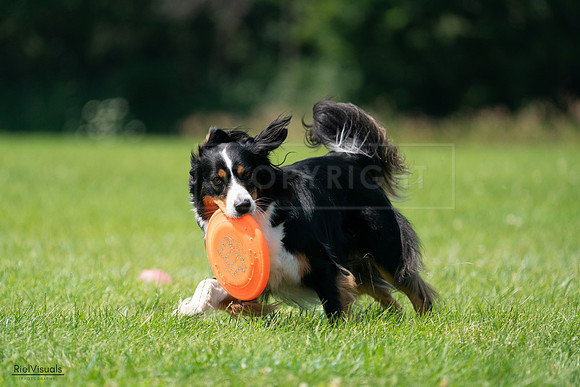 RielVisuals_20240728_121603_SJR03441