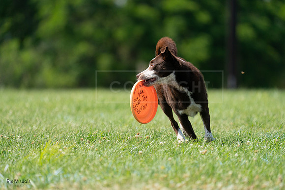 RielVisuals_20240728_152030_SJR00628