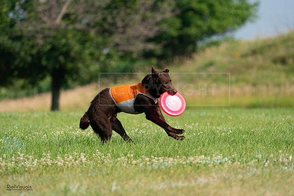 RielVisuals_20240727_092502_SJR06232