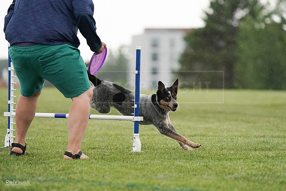 RielVisuals_20240526_094807_SJR01075