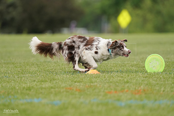 RielVisuals_20240526_110135_SJR00182