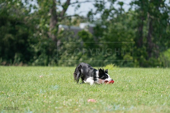 RielVisuals_20240728_142125_SJR08114