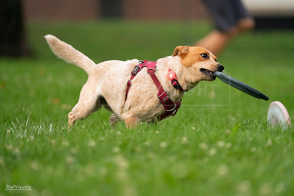 RielVisuals_20240722_201418_SJR03289