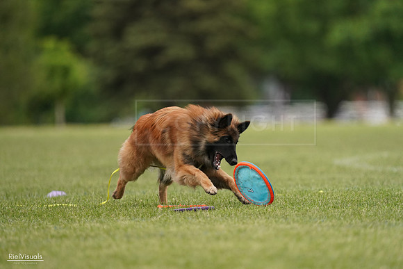 RielVisuals_20240526_134753_SJR09123