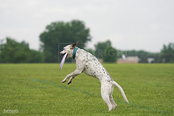 RielVisuals_20240527_105757_SJR02338