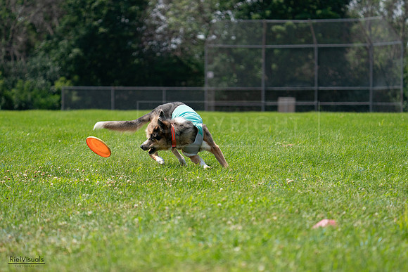 RielVisuals_20240728_124929_SJR04773