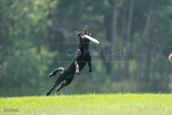 RielVisuals_20240727_121805_SJR05250