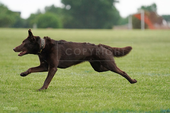 RielVisuals_20240526_091002_SJR09269