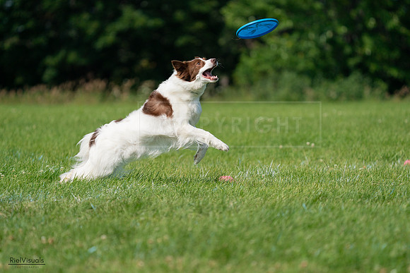 RielVisuals_20240728_102147_SJR07929