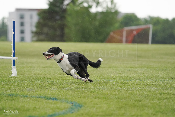 RielVisuals_20240526_093359_SJR00370