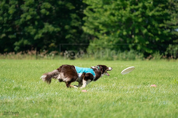 RielVisuals_20240728_101936_SJR07779