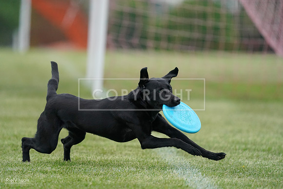 RielVisuals_20240525_170429_SJR05998