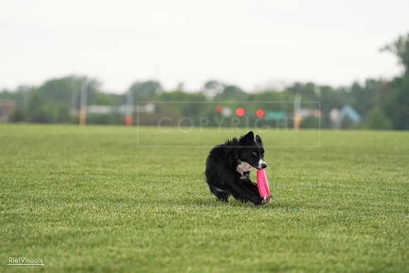 RielVisuals_20240526_095251_SJR01228