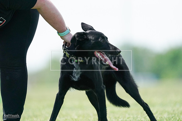 RielVisuals_20240525_122627_SJR09912