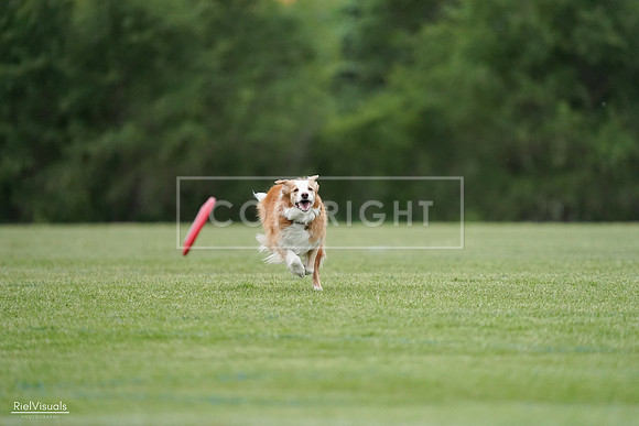 RielVisuals_20240525_170751_SJR06141