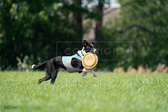 RielVisuals_20240727_135651_SJR09053